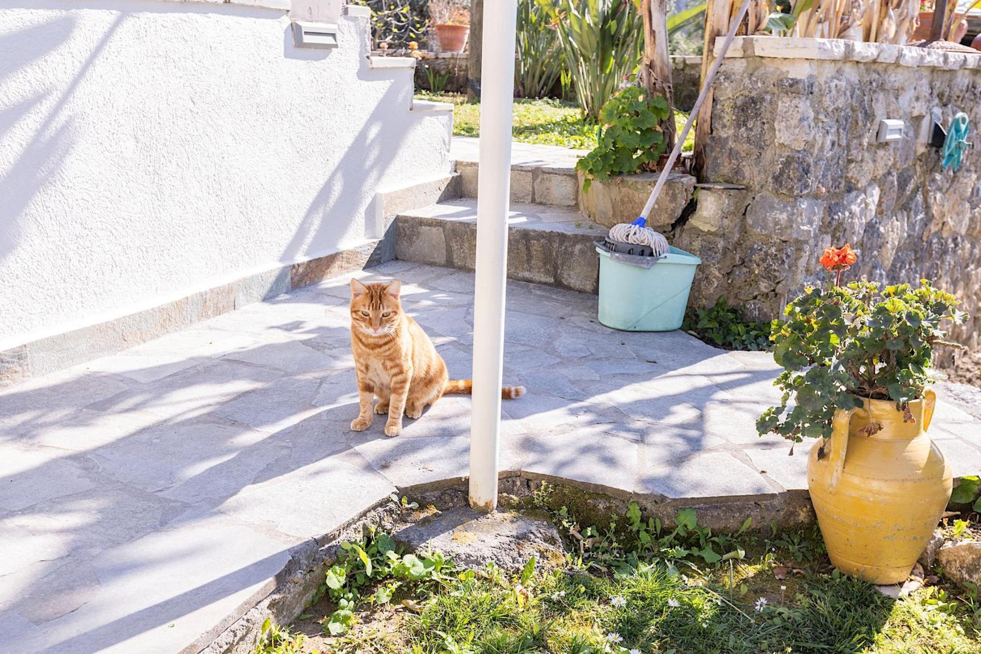 Ad Homes Άγιος Γόρδιος Εξωτερικό φωτογραφία